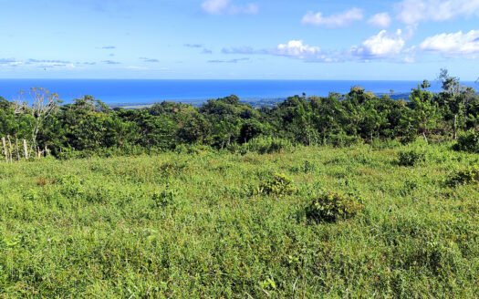 Land Los Puentes with Sea View